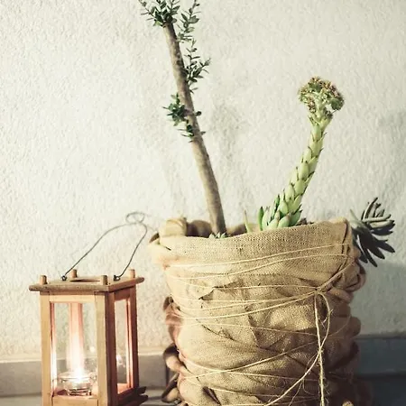 Ljubica Holiday home Vodice