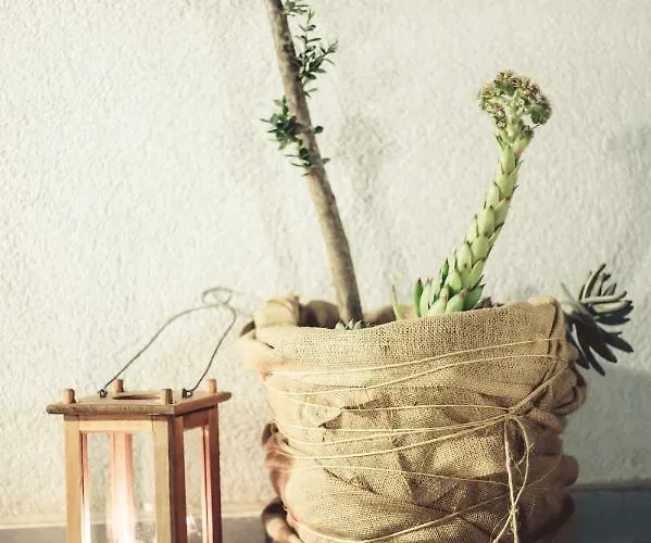 Ljubica Vakantiehuis Vodice